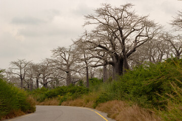 Obraz premium Muxima