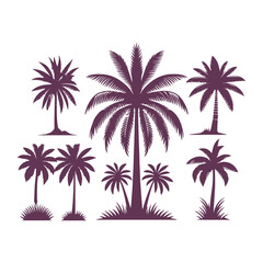Obraz premium Palm Tree vector Palm tree silhouette Coconut tree vector silhouette symbols vector isolated on White background, Design of palm trees for posters, banners and promotional items. Vector illustration