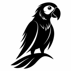 Parrot Black silhouette