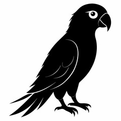 Parrot Black silhouette