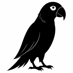 Parrot Black silhouette