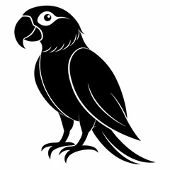 Parrot Black silhouette