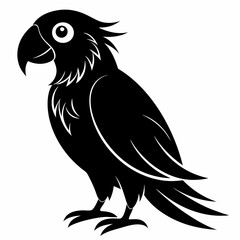Parrot Black silhouette