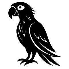 Parrot Black silhouette