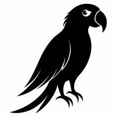 Parrot Black silhouette