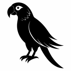 Parrot Black silhouette