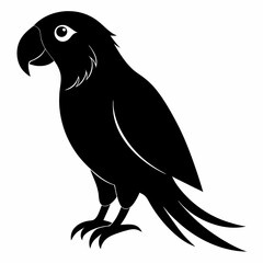 Parrot Black silhouette