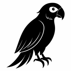 Parrot Black silhouette