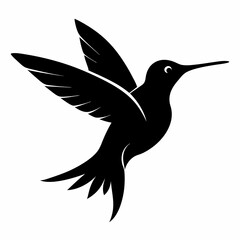 Hummingbird Black silhouette