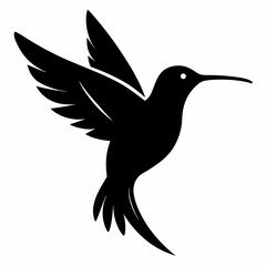 Obraz premium Hummingbird Black silhouette