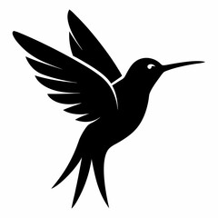 Hummingbird Black silhouette