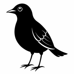 Skylark Black silhouette