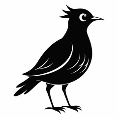 Skylark Black silhouette