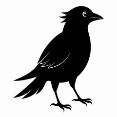 Fototapeta premium Skylark Black silhouette