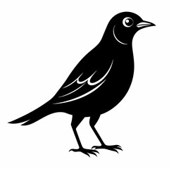 Skylark Black silhouette