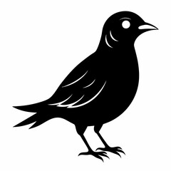 Skylark Black silhouette