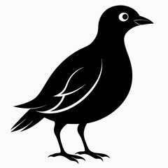 Skylark Black silhouette
