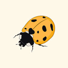 Yellow ladybug icon on a white background. Vector illustration