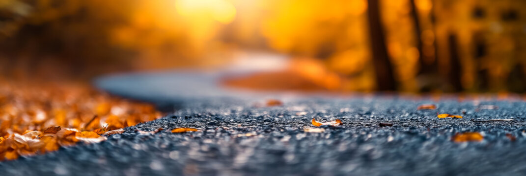 Blurred background of a winding autumn path golden hues peaceful and inviting 