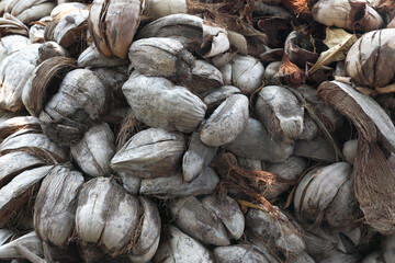 Pile of dried coconut husk
