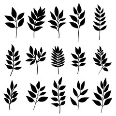 Black silhouette set of leaves on branches,vector illustration botanical elements design.