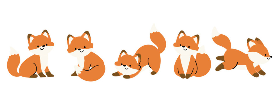Cute Fox Autumn Season animal set vector. Collection of orange foxes, wolf, dog in different pose, sitting, sleeping, jumping, running. Adorable fox characters illustration for decoration, clipart.