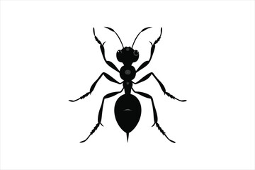 an ant silhouette black vector artwork illustration