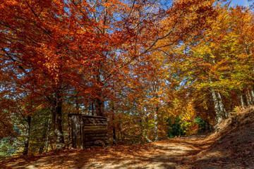 Outono - Serra da Estrela
