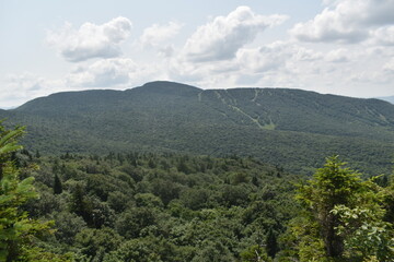 Fototapeta premium Sentiers Sutton Dos Orignal 14 Juillet 2024