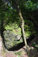 Sentiers Sutton Dos Orignal 14 Juillet 2024