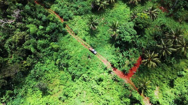 Truck driving in jungle on a dirt road in a forest and jungle