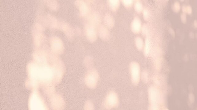 minimalist orange wall with sun glare, tropical background with blurred silhouette shadow leaf, Minimal placement background, Creative product platform stage mockup, presentation