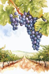 Autumn vineyard, harvesting grapes in a lush vineyard, wine season, watercolor style