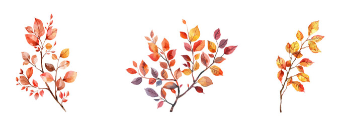 Watercolor branch with autumn leaves collection with natural elements and warm tones. Colored trendy illustration. Autumn stickers.  Vector illustration.