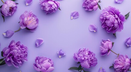 Pattern composition with purple peonies on light violet background, top view, minimal flat lay style.