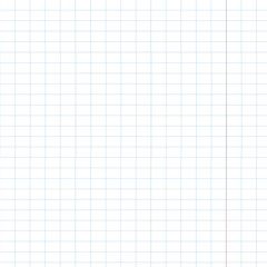 Checker Line Pattern. Paper Notebook Texture Background. Back to school.