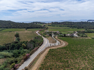 Aerial view on hills, houses and green vineyards Cotes de Provence, production of rose wine near Saint-Tropez and Pampelonne beach, Var, France in summer