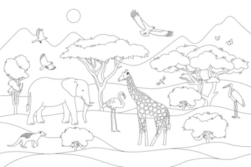 Selbstklebende Fototapeten Zoo African animals landscape coloring page. Line art illustration. Nature of africa wildlife. Not merged, separate elements.  © Anastasiia Neibauer