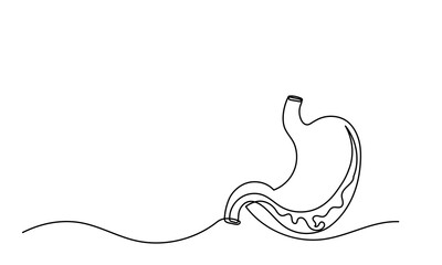 Human stomach, Continuous single-line drawing of  human internal organ. The concept of a health care happy Healthy lifestyle. Human stomach Vector illustration.
