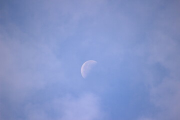 下弦の月　Halfmoon