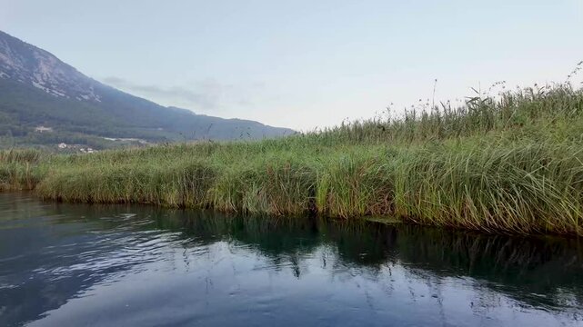 Sailing through Azmak river with reeds in Akyaka village, a popular touristic destination in Southern Turkiye