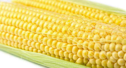 Texture of yellow ripe sweet corn. Harvesting. Close-up.