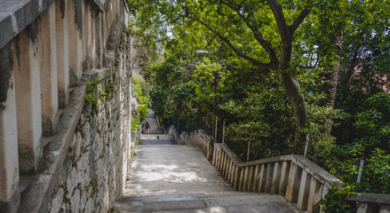 The forest at Marjan Hill -Dalmatian coast Split, Croatia