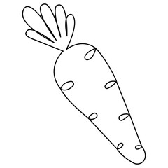 Carrot single line art, continuous one line drawing of  Isolated outline vector art
