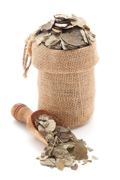 Close-up of dry Organic Moringa (Moringa oleifera) leaves, in a jute bag and on a scoop, Isolated on a white background.