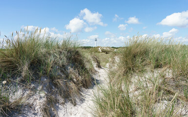 Dünenlandschaft in Dueodde auf der Insel Bornholm