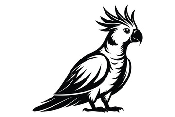 Wild vector birds, eagle, parrot, and raven silhouettes