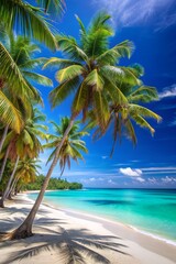 Obraz premium Sea beach with palm trees