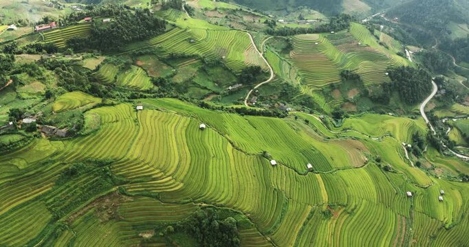 Rice field terraces in Mu Cang Chai, Vietnam