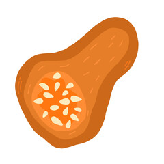 Slice of orange autumn  pumpkin Symbol of  Halloween and Thanksgiving day. Vector illustration on white background in doodle style.